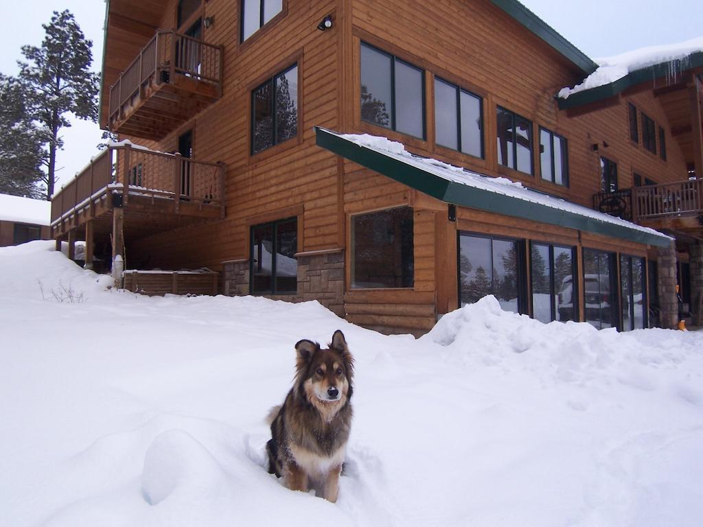 Elktrace Bed And Breakfast Pagosa Springs Exteriér fotografie