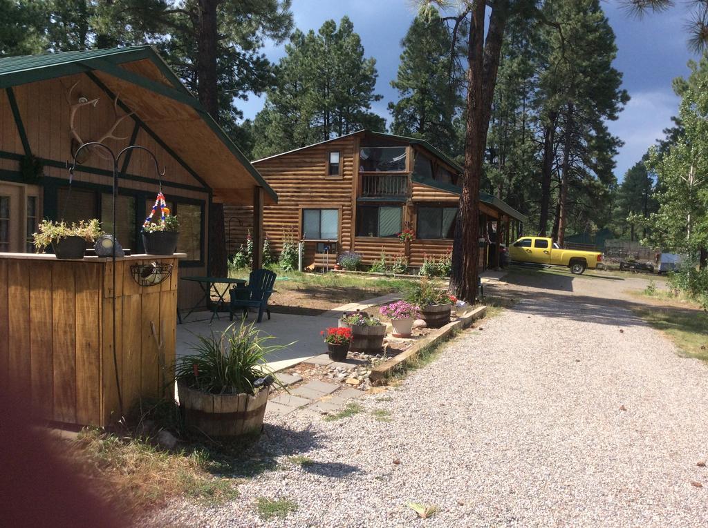 Elktrace Bed And Breakfast Pagosa Springs Exteriér fotografie