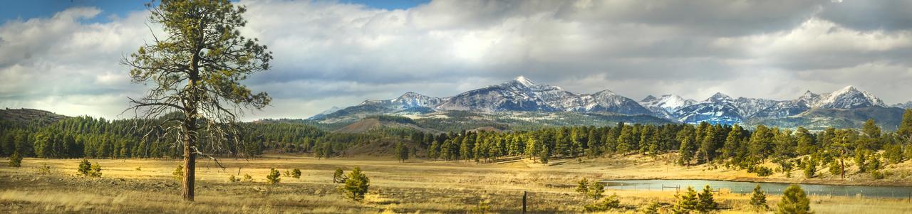 Elktrace Bed And Breakfast Pagosa Springs Exteriér fotografie